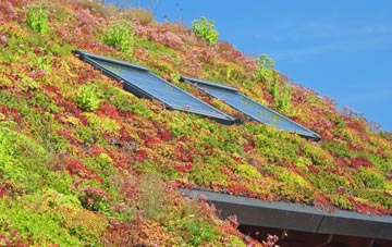 Disserth living roof systems