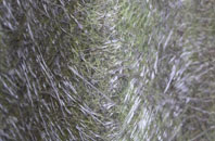 Disserth fibreglass roof work